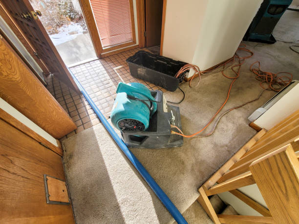 24/7 water damage repair in Rendon, TX