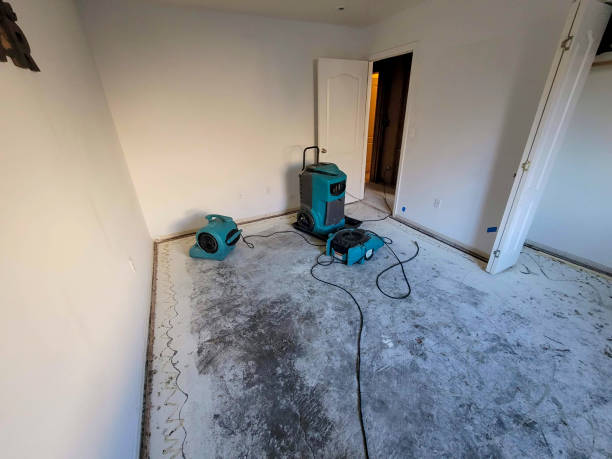 Best Basement water damage restoration  in Rendon, TX