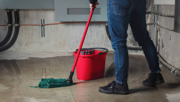 Best Residential water damage restoration  in Rendon, TX