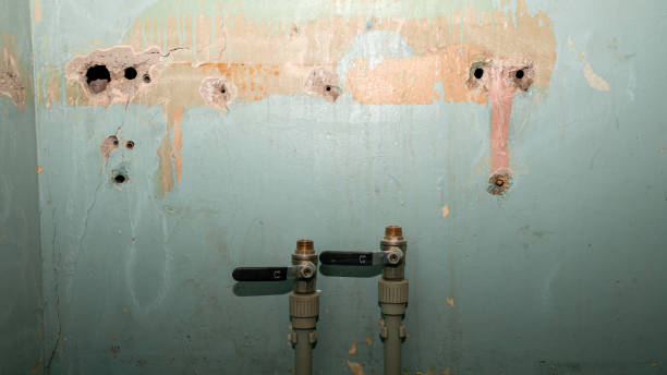 Best Water damage restoration near me  in Rendon, TX