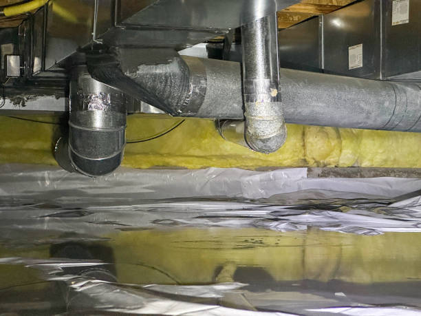 Best Water damage restoration near me  in Rendon, TX