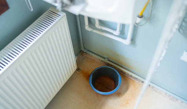 Carpet water damage restoration in Rendon, TX