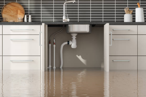 Best Water damage restoration near me  in Rendon, TX